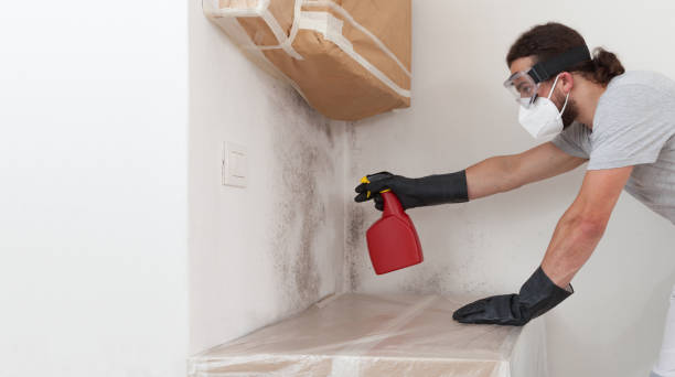 Professional Bathroom Mold Removal technician working in LaFayette, GA