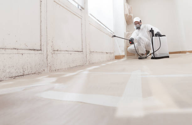 24/7 Emergency Bathroom Mold Removal experts in LaFayette, GA