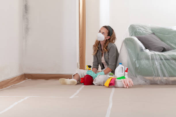 Reliable Bathroom Mold Removal contractor in LaFayette, GA by Mold Remediation HQ