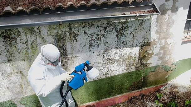 Top rated local Bathroom Mold Removal specialists in LaFayette, GA